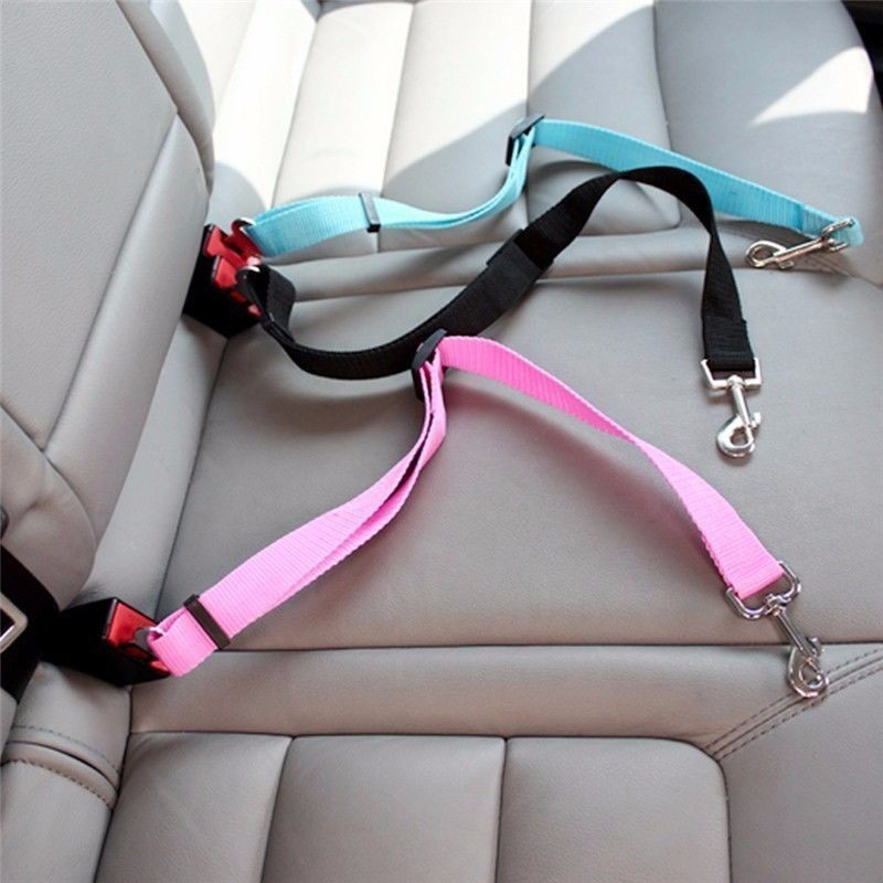 Travel Accessories For Dogs - สายรัดนิรภัยในรถยนต์สำหรับแมว อุปกรณ์สำหรับสุนัข สายรัดปรับได้ สายจูง สายคล้องคอสำหรับสัตว์เลี้ยง ขนาดเล็ก