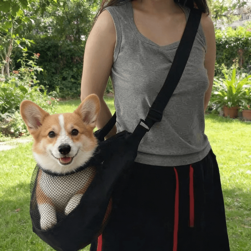 กระเป๋าใส่สัตว์เลี้ยงแบบตาข่าย - Travel Accessories For Dogs บทวิจารณ์และราคา