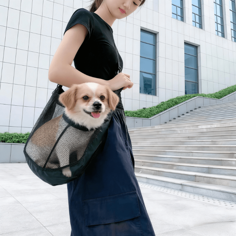 กระเป๋าใส่สัตว์เลี้ยงแบบตาข่าย - Travel Accessories For Dogs บทวิจารณ์และราคา