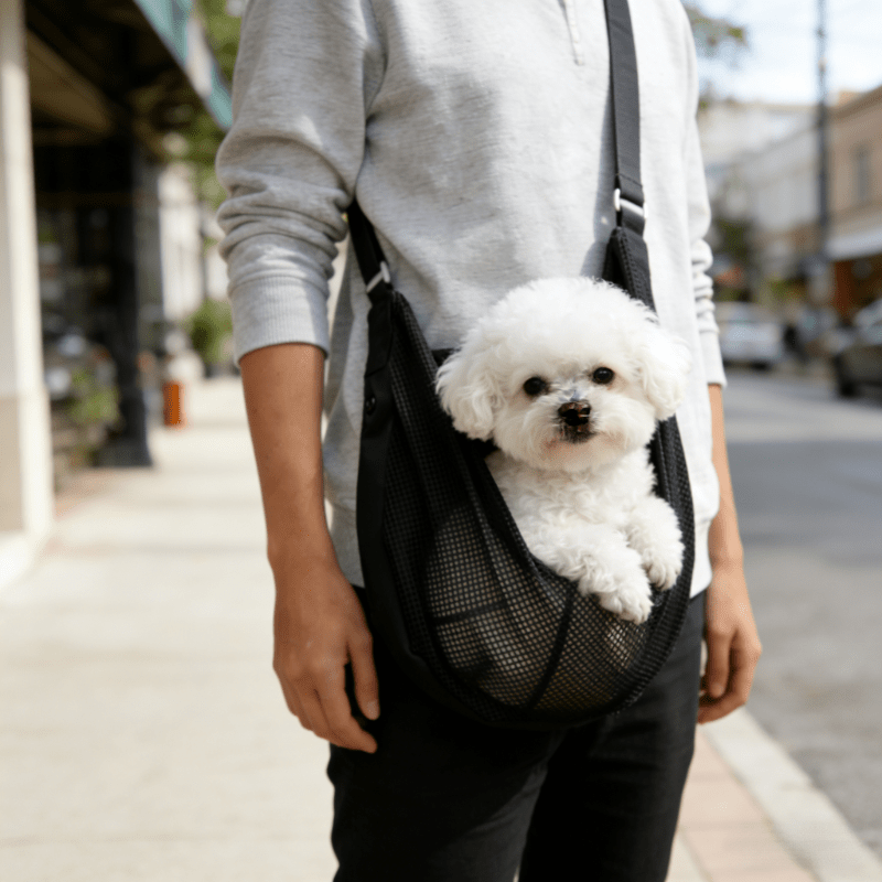 กระเป๋าใส่สัตว์เลี้ยงแบบตาข่าย - Travel Accessories For Dogs บทวิจารณ์และราคา