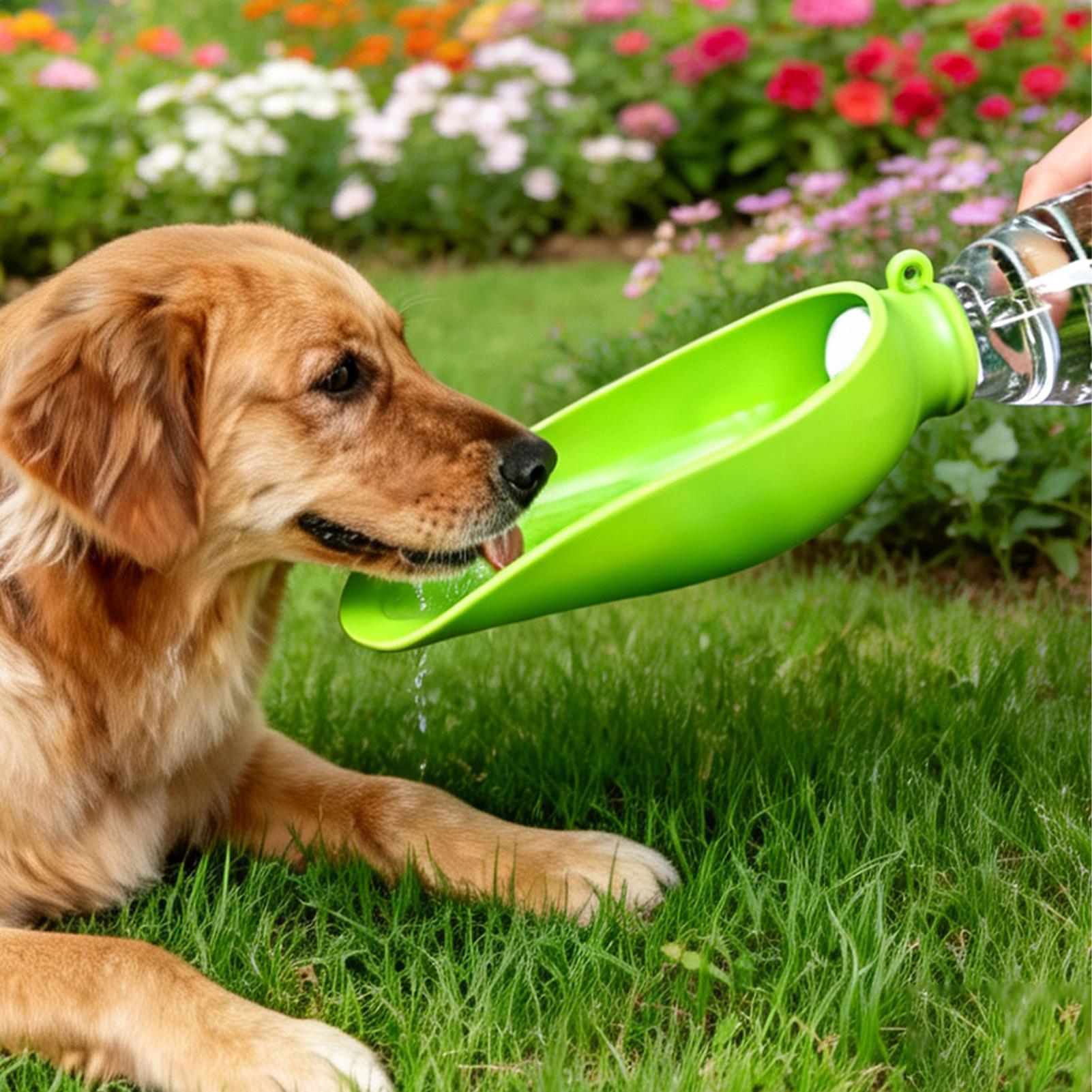 ชามน้ำพับได้สำหรับสุนัข ทำจากซ - Travel Accessories For Dogs บทวิจารณ์และราคา